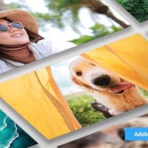 Photoshop Elements 2024 | Box with Download Code